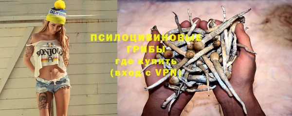 тгк Алексеевка
