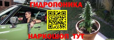 СК Дмитров