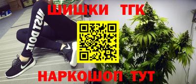 СК Дмитров