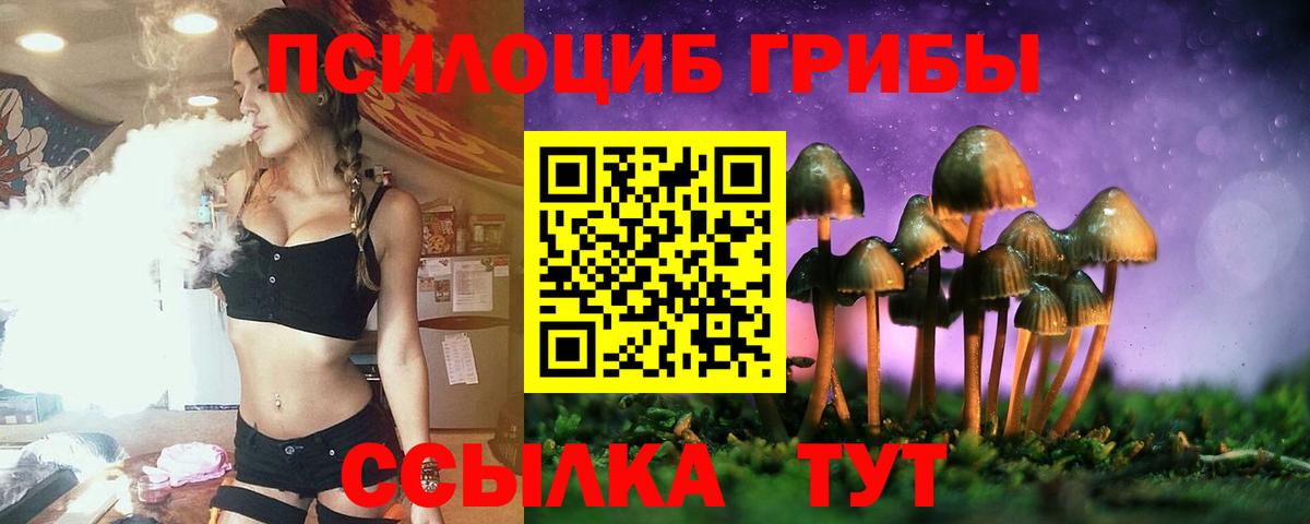 Белгород  Галлюциногенные грибы GOLDEN TEACHER  Вход с VPN  Галлюциногенные грибы Psilocybine cubensis 