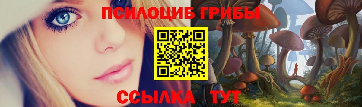 Галлюциногенные грибы Cubensis Белгород
